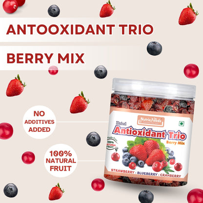 Nutriefoods Antioxidant Trio Berry Mix | Blended with Dried Strawberry, Blueberry and Cranberry