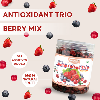 Nutriefoods Antioxidant Trio Berry Mix | Blended with Dried Strawberry, Blueberry and Cranberry
