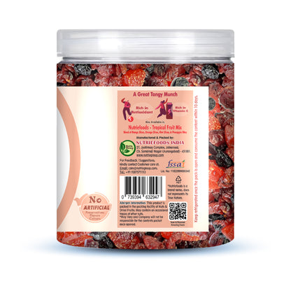 Nutriefoods Antioxidant Trio Berry Mix | Blended with Dried Strawberry, Blueberry and Cranberry